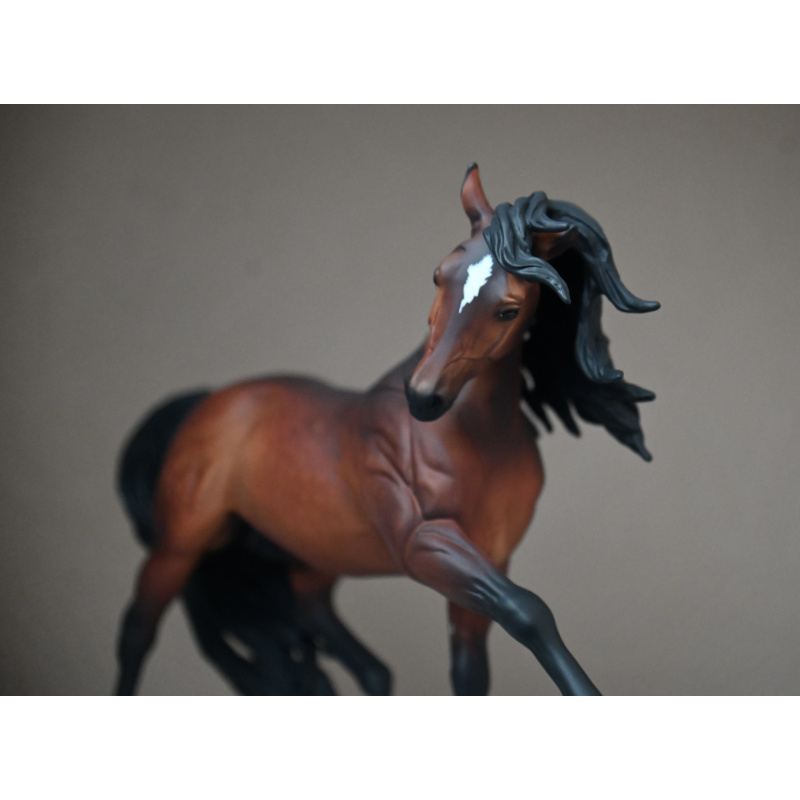 CM BREYER ESPRIT TO A  DAPPLED BAY