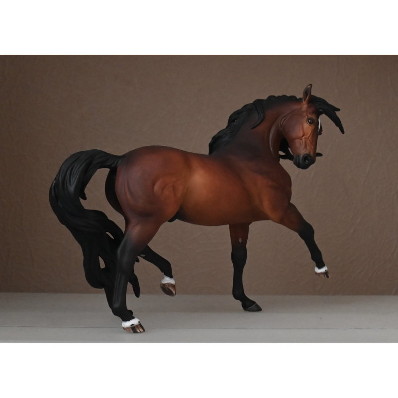 CM BREYER ESPRIT TO A  DAPPLED BAY
