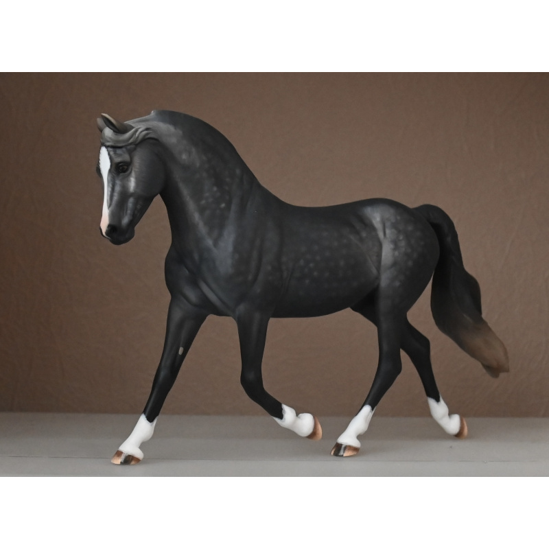 CM BREYER MORGAN TO A DAPPLED STEEL GREY