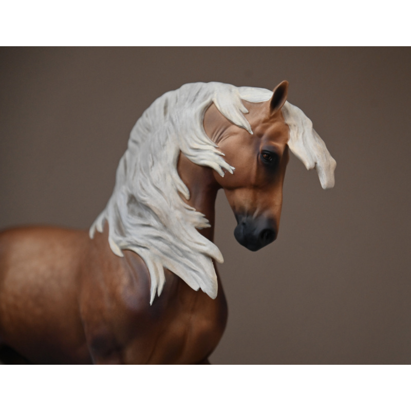 CM BREYER ANAMAR TO A SOOTY DAPPLED PALOMINO