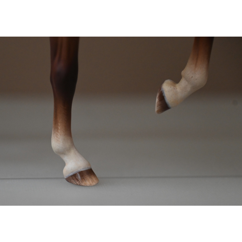 CM BREYER ANAMAR TO A SOOTY DAPPLED PALOMINO