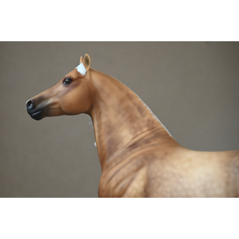 CM BREYER SMART CHIC OLEANA TO A SOOTY DAPPLED PALOMINO
