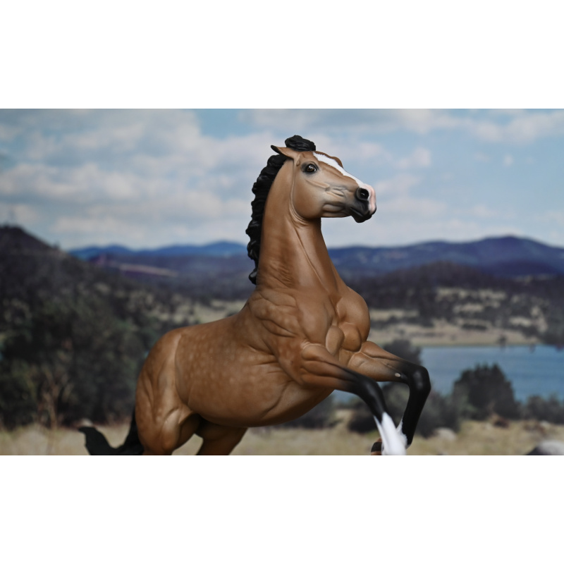 CM BREYER BABYFLO TO A GOLDEN DAPPLED BUCKSKIN