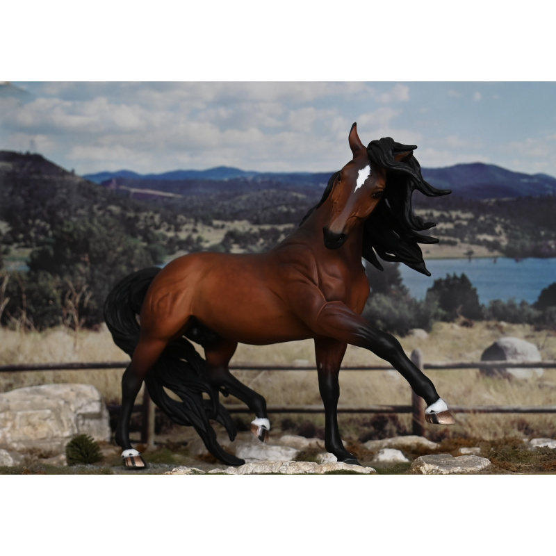 CM BREYER ESPRIT TO A  DAPPLED BAY
