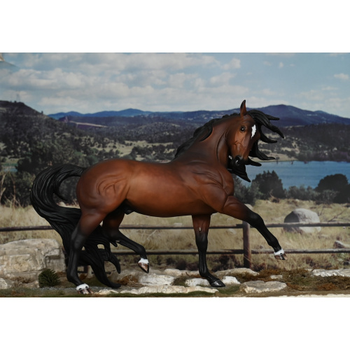 CM BREYER ESPRIT TO A  DAPPLED BAY