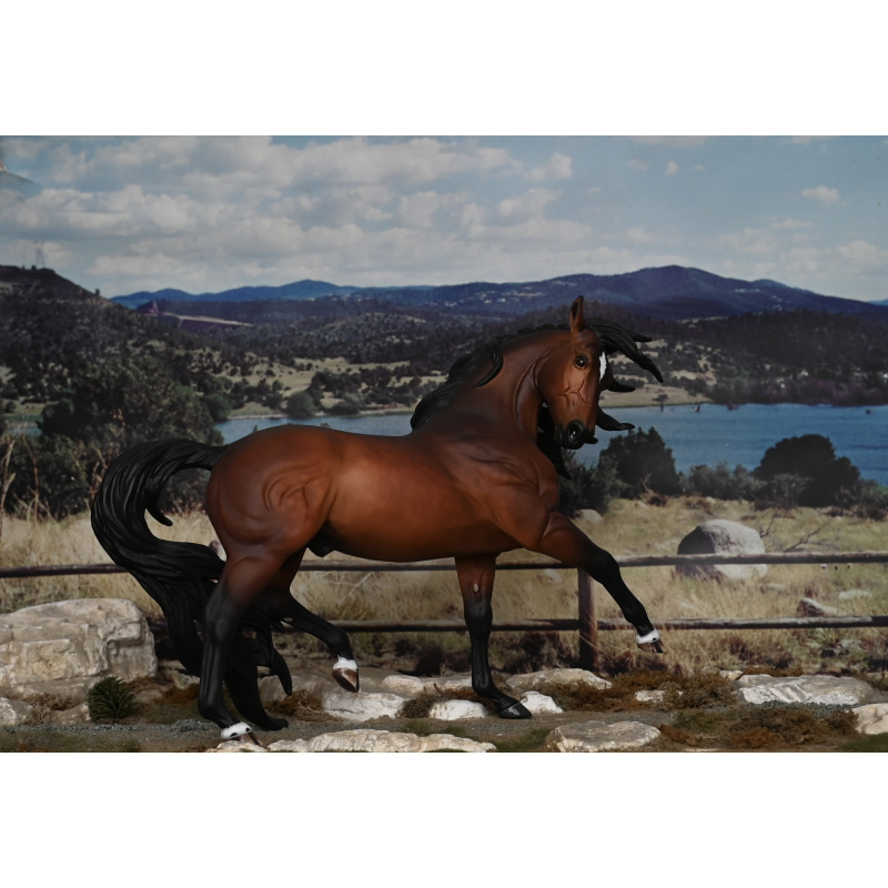 CM BREYER ESPRIT TO A  DAPPLED BAY