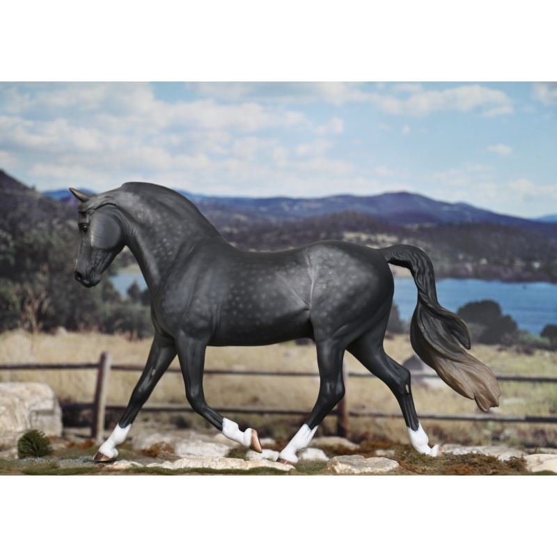 CM BREYER MORGAN TO A DAPPLED STEEL GREY