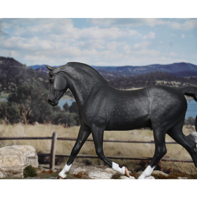 CM BREYER MORGAN TO A DAPPLED STEEL GREY