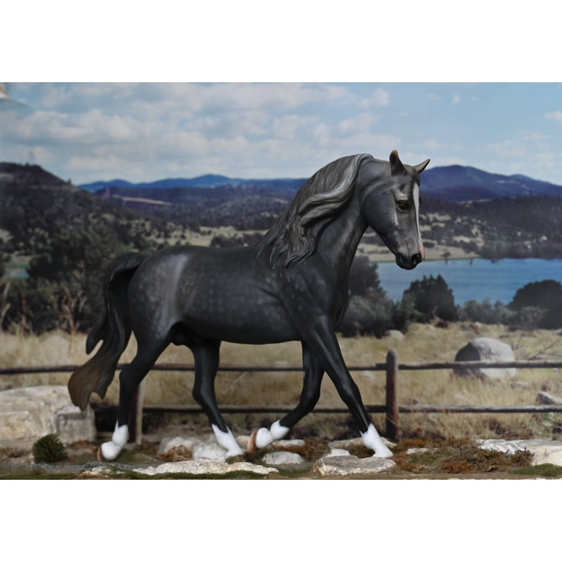 CM BREYER MORGAN TO A DAPPLED STEEL GREY