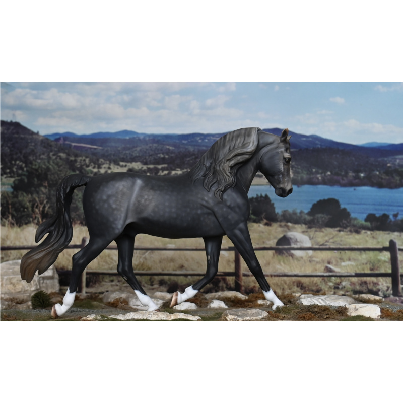 CM BREYER MORGAN TO A DAPPLED STEEL GREY