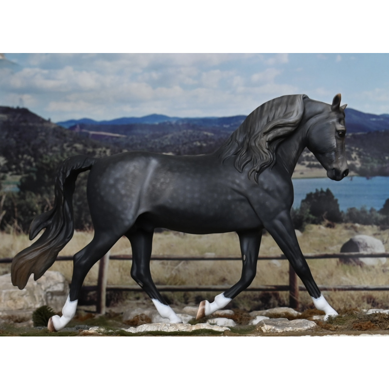 CM BREYER MORGAN TO A DAPPLED STEEL GREY