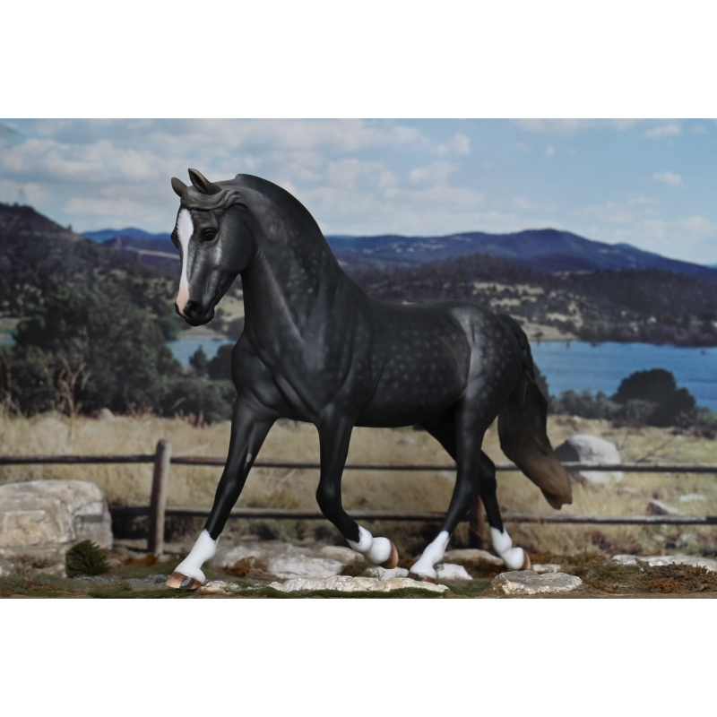CM BREYER MORGAN TO A DAPPLED STEEL GREY