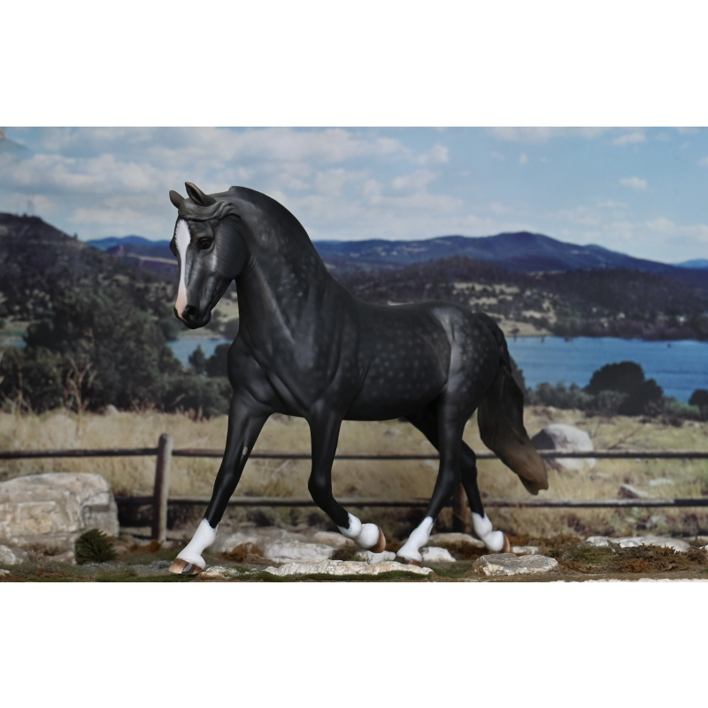 CM BREYER MORGAN TO A DAPPLED STEEL GREY