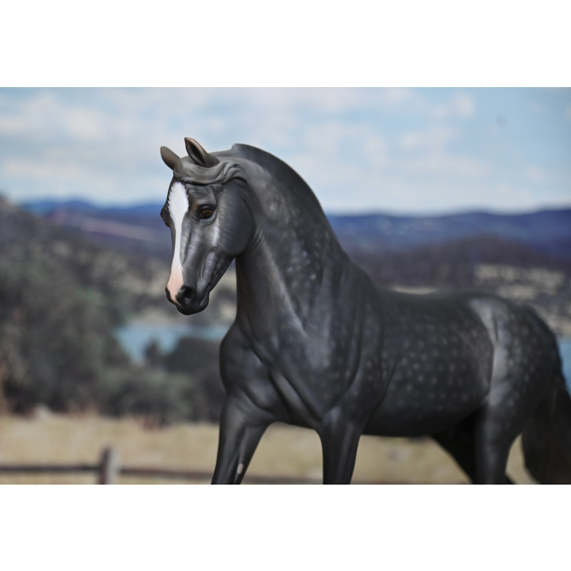 CM BREYER MORGAN TO A DAPPLED STEEL GREY