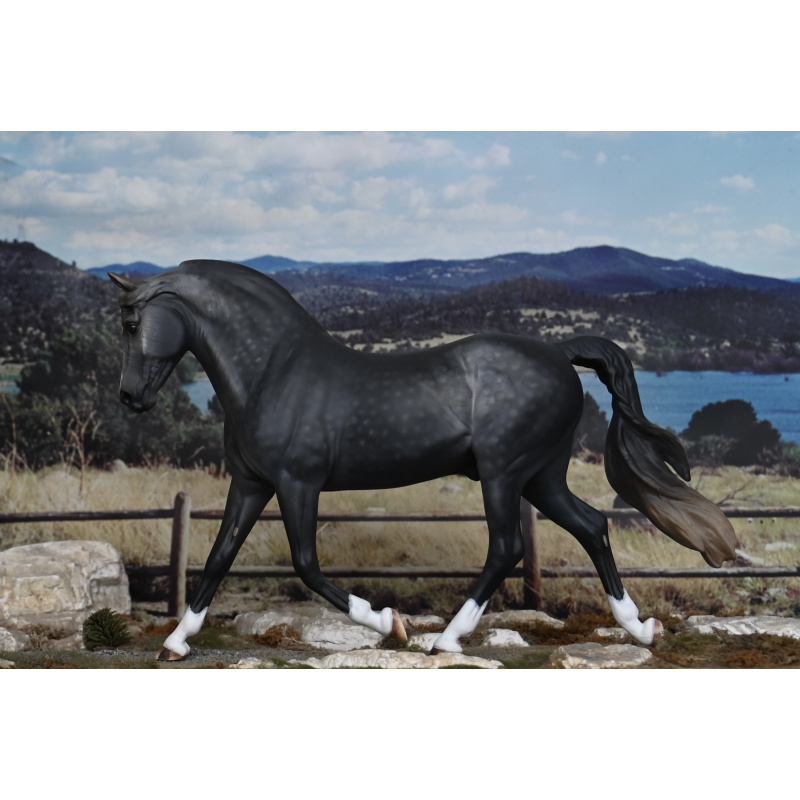 CM BREYER MORGAN TO A DAPPLED STEEL GREY