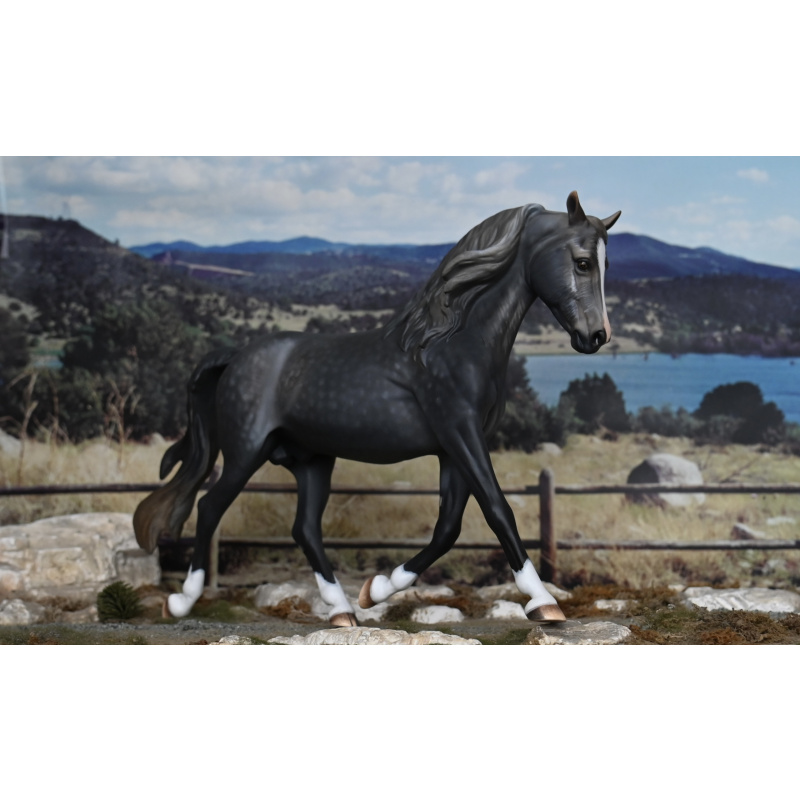 CM BREYER MORGAN TO A DAPPLED STEEL GREY