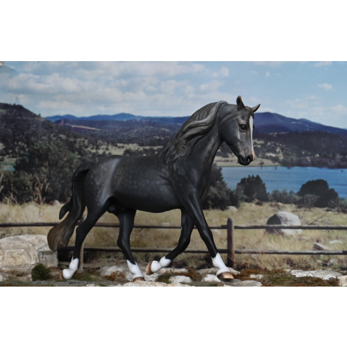 CM BREYER MORGAN TO A DAPPLED STEEL GREY