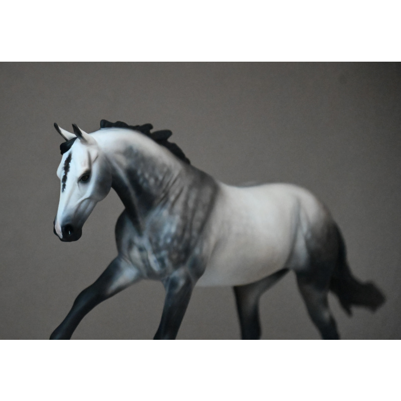 CM BREYER DUNDEE TO A PALE/SILVER TO GREYING OUT BUCKSKIN