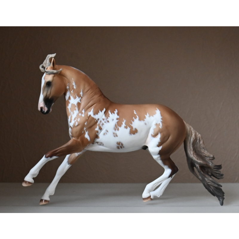 CM BREYER CRIOLLO PAINTED TO A GOLDEN DUNALINO SABINO