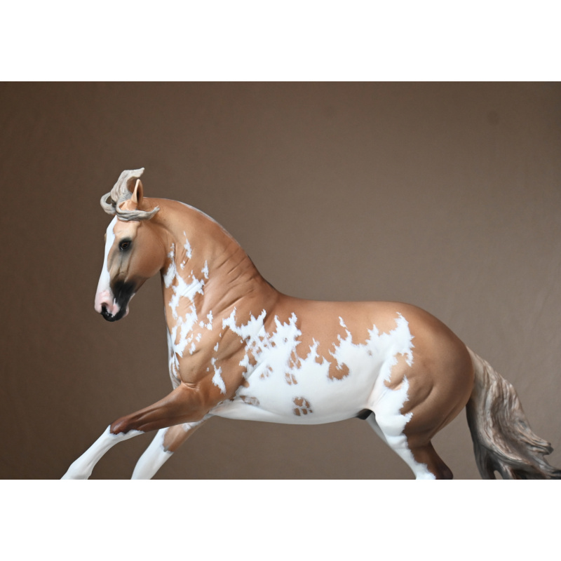 CM BREYER CRIOLLO PAINTED TO A GOLDEN DUNALINO SABINO