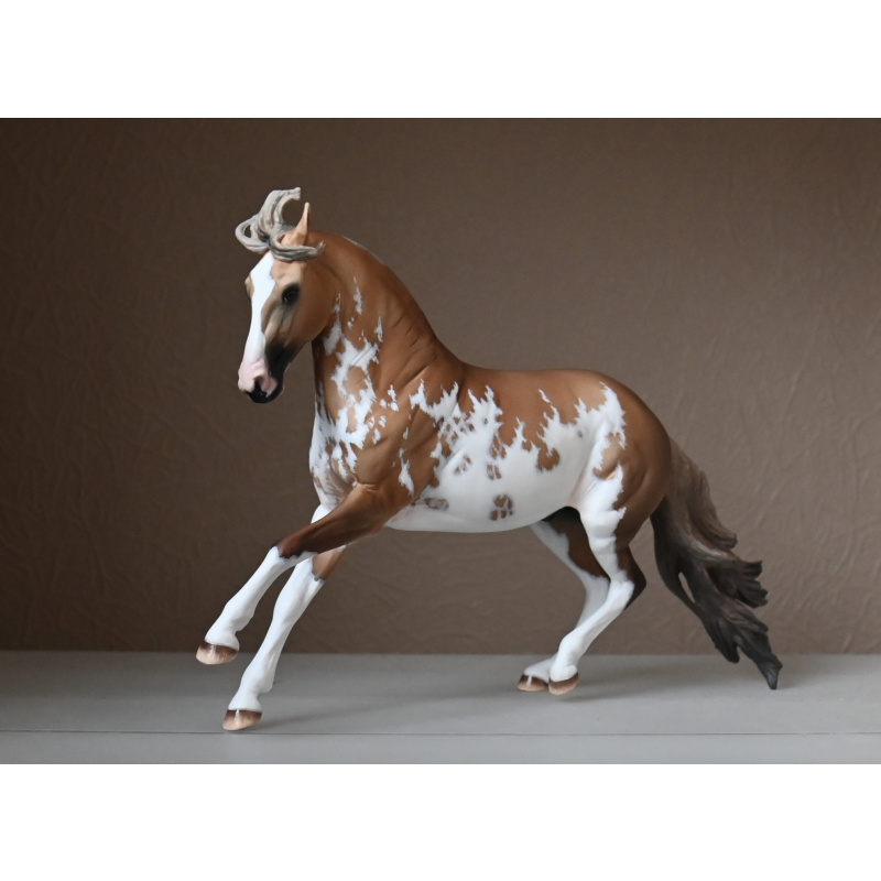 CM BREYER CRIOLLO PAINTED TO A GOLDEN DUNALINO SABINO