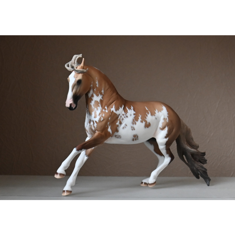 CM BREYER CRIOLLO PAINTED TO A GOLDEN DUNALINO SABINO