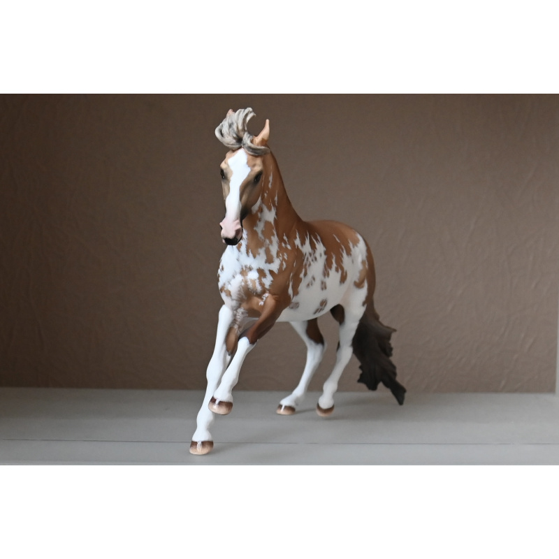 CM BREYER CRIOLLO PAINTED TO A GOLDEN DUNALINO SABINO