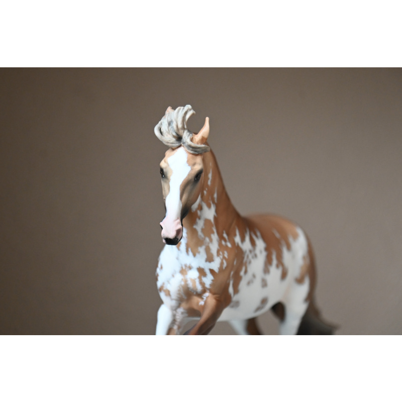 CM BREYER CRIOLLO PAINTED TO A GOLDEN DUNALINO SABINO
