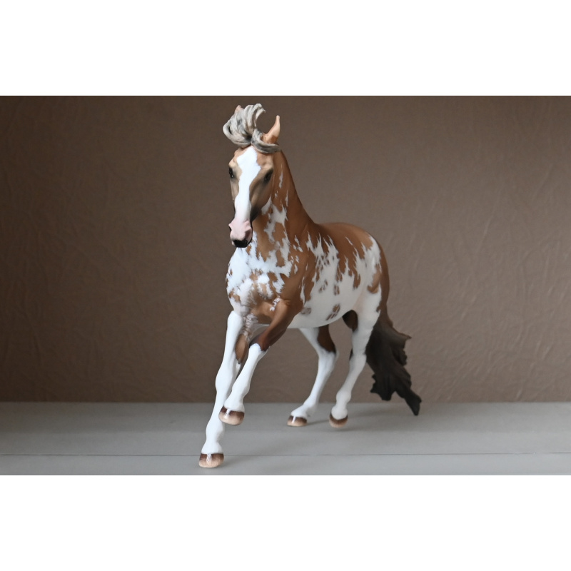 CM BREYER CRIOLLO PAINTED TO A GOLDEN DUNALINO SABINO