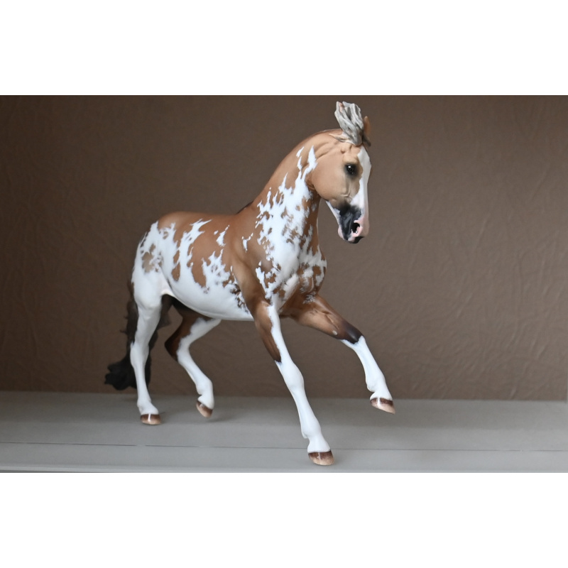 CM BREYER CRIOLLO PAINTED TO A GOLDEN DUNALINO SABINO