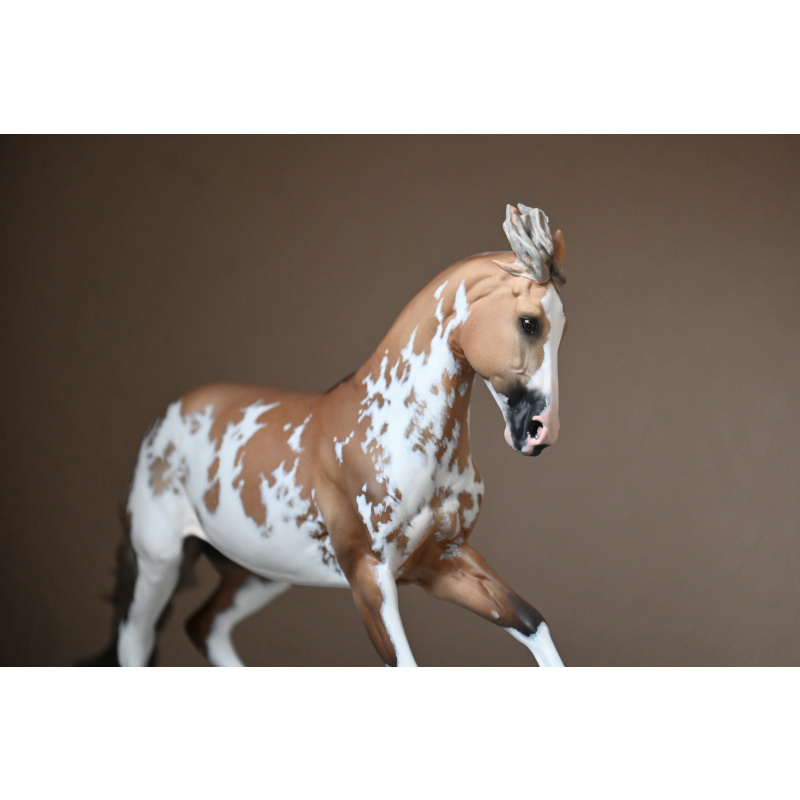 CM BREYER CRIOLLO PAINTED TO A GOLDEN DUNALINO SABINO