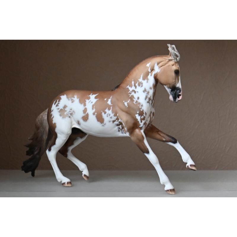CM BREYER CRIOLLO PAINTED TO A GOLDEN DUNALINO SABINO