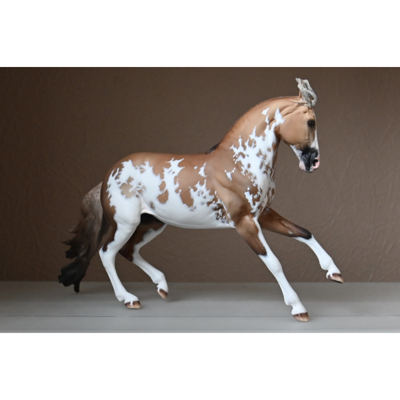 CM BREYER CRIOLLO PAINTED TO A GOLDEN DUNALINO SABINO