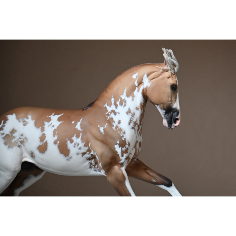CM BREYER CRIOLLO PAINTED TO A GOLDEN DUNALINO SABINO