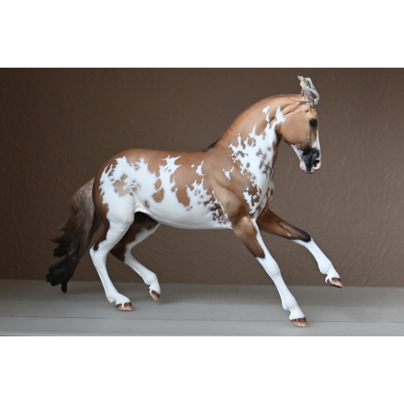 CM BREYER CRIOLLO PAINTED TO A GOLDEN DUNALINO SABINO