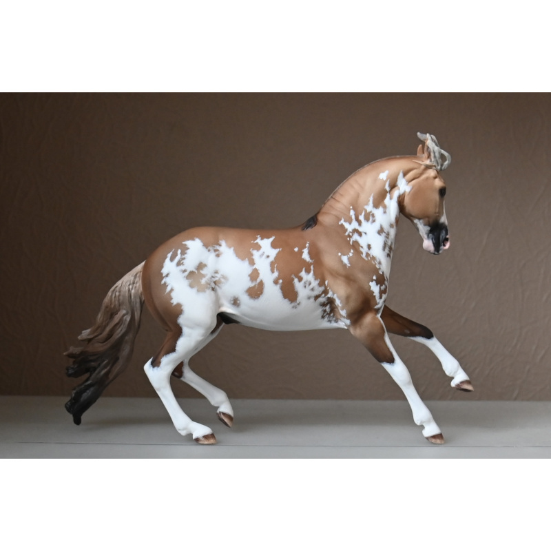 CM BREYER CRIOLLO PAINTED TO A GOLDEN DUNALINO SABINO