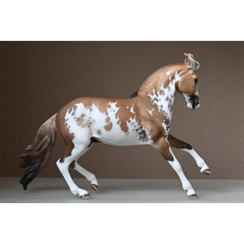 CM BREYER CRIOLLO PAINTED TO A GOLDEN DUNALINO SABINO