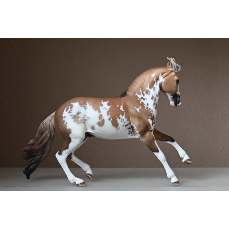 CM BREYER CRIOLLO PAINTED TO A GOLDEN DUNALINO SABINO