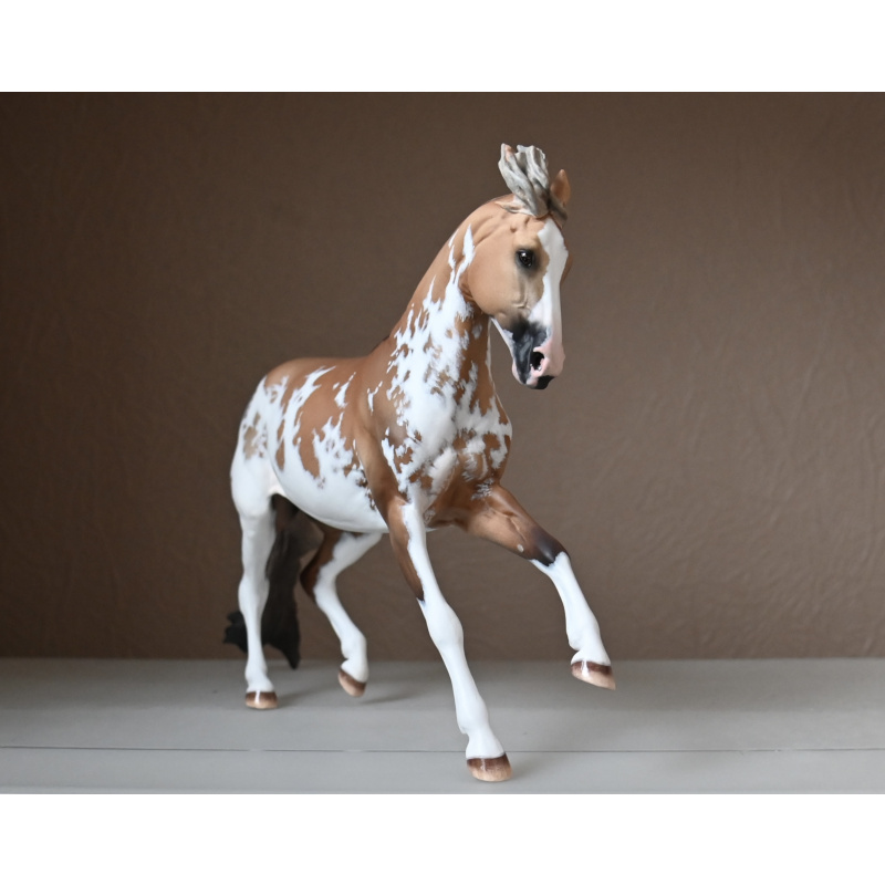 CM BREYER CRIOLLO PAINTED TO A GOLDEN DUNALINO SABINO