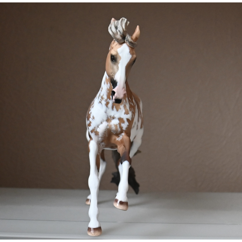 CM BREYER CRIOLLO PAINTED TO A GOLDEN DUNALINO SABINO