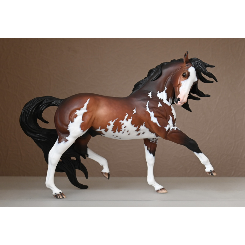 CM BREYER ESPRIT TO A  DAPPLED BAY SABINO