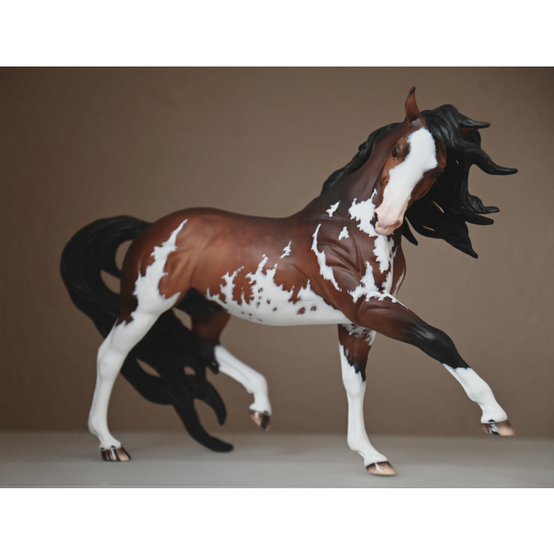 CM BREYER ESPRIT TO A  DAPPLED BAY SABINO