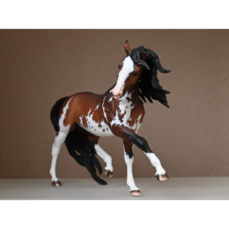 CM BREYER ESPRIT TO A  DAPPLED BAY SABINO