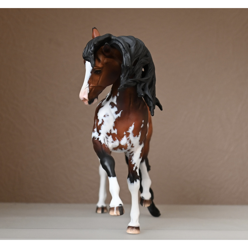 CM BREYER ESPRIT TO A  DAPPLED BAY SABINO