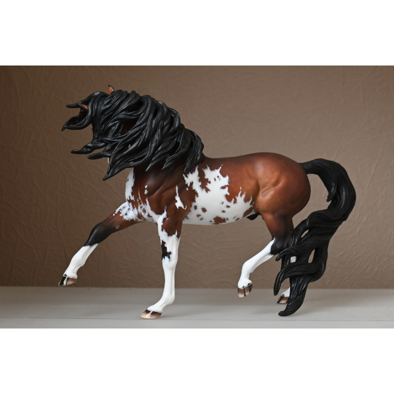 CM BREYER ESPRIT TO A  DAPPLED BAY SABINO