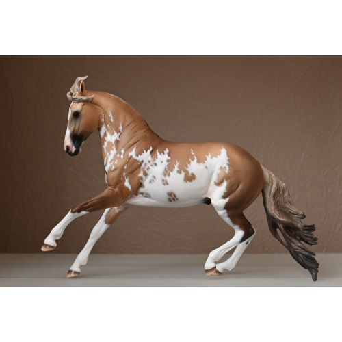 CM BREYER CRIOLLO PAINTED TO A GOLDEN DUNALINO SABINO