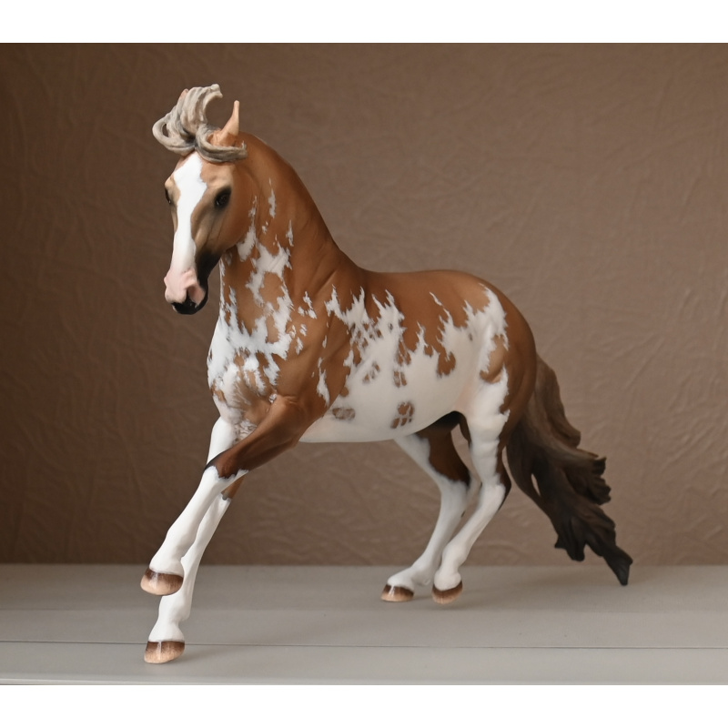 CM BREYER CRIOLLO PAINTED TO A GOLDEN DUNALINO SABINO