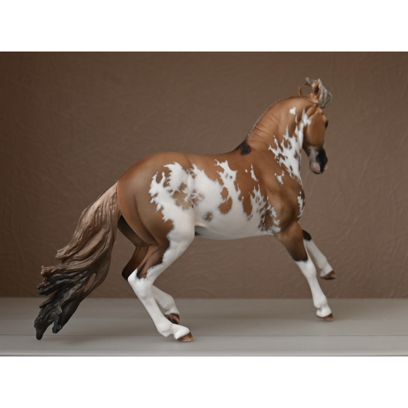 CM BREYER CRIOLLO PAINTED TO A GOLDEN DUNALINO SABINO