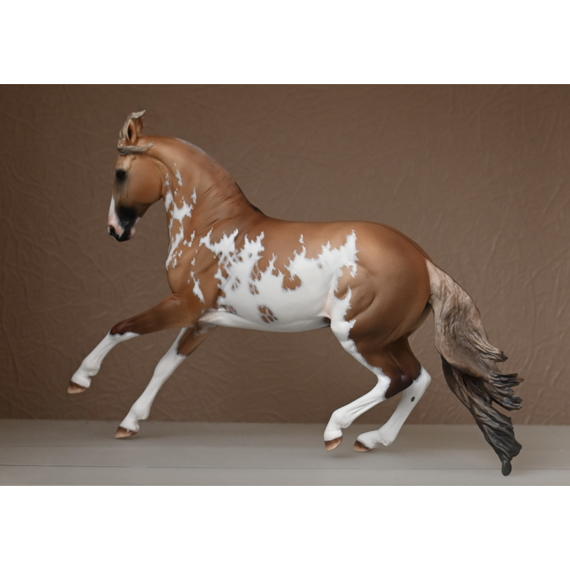 CM BREYER CRIOLLO PAINTED TO A GOLDEN DUNALINO SABINO