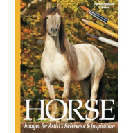 Horse Images for Artists’ Reference and Inspiration